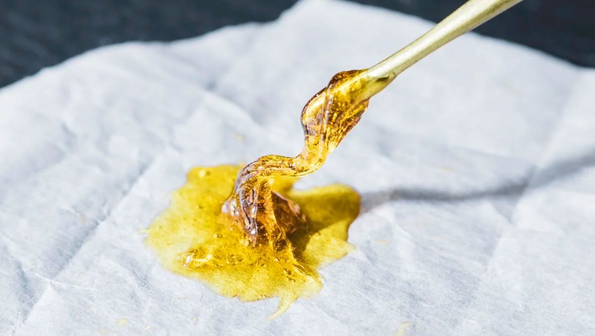 Cannabis Concentrates: Rosin Hash