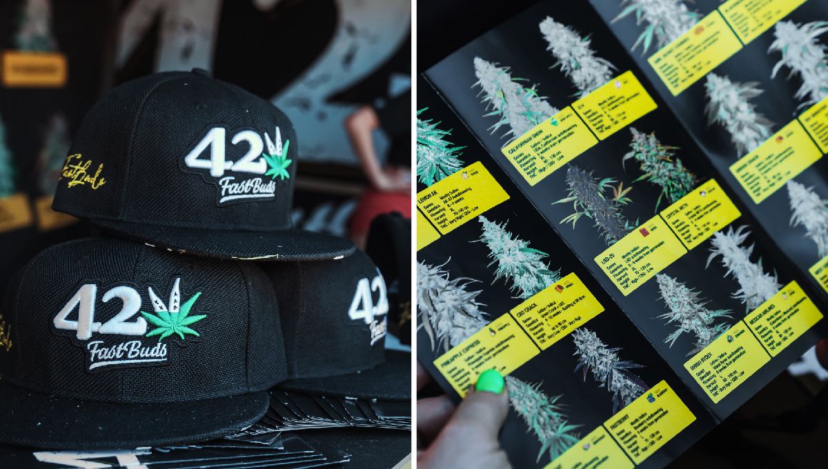 Besuche uns auf der MJBizCon Las Vegas 2023 Besuche uns auf der MJBizCon Las Vegas 2023