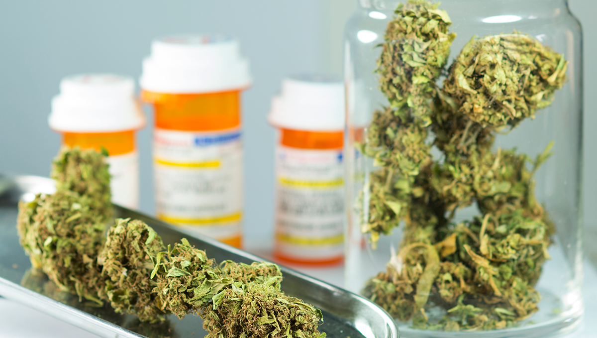 Weed in the uk: history Weed in the uk: history