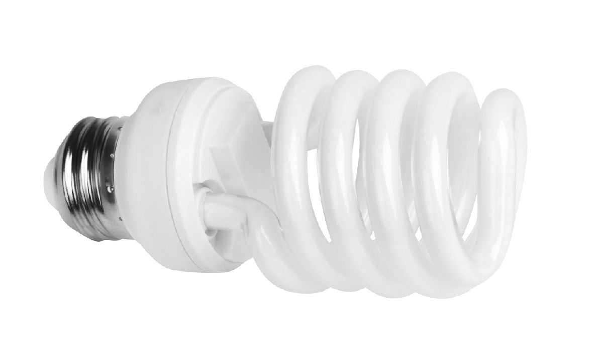 Indoor lights for cannabis grow: cfl bulbs Indoor lights for cannabis grow: cfl bulbs