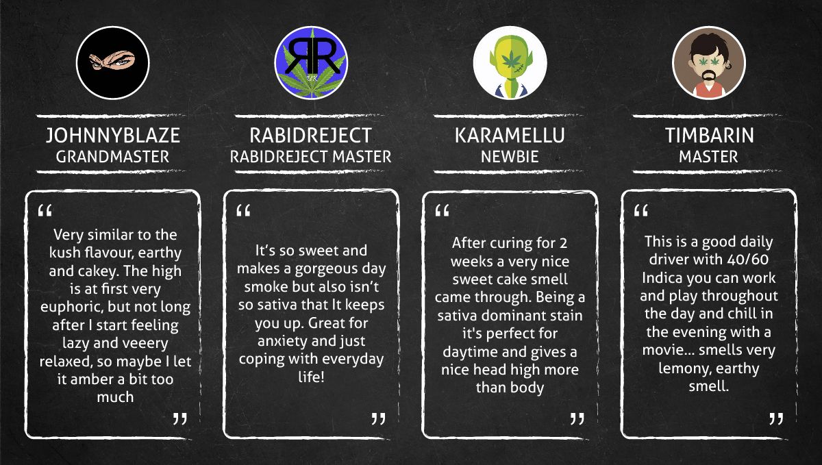 Mimosa Cake Auto cannabis strain: smoke report Mimosa Cake Auto cannabis strain: smoke report