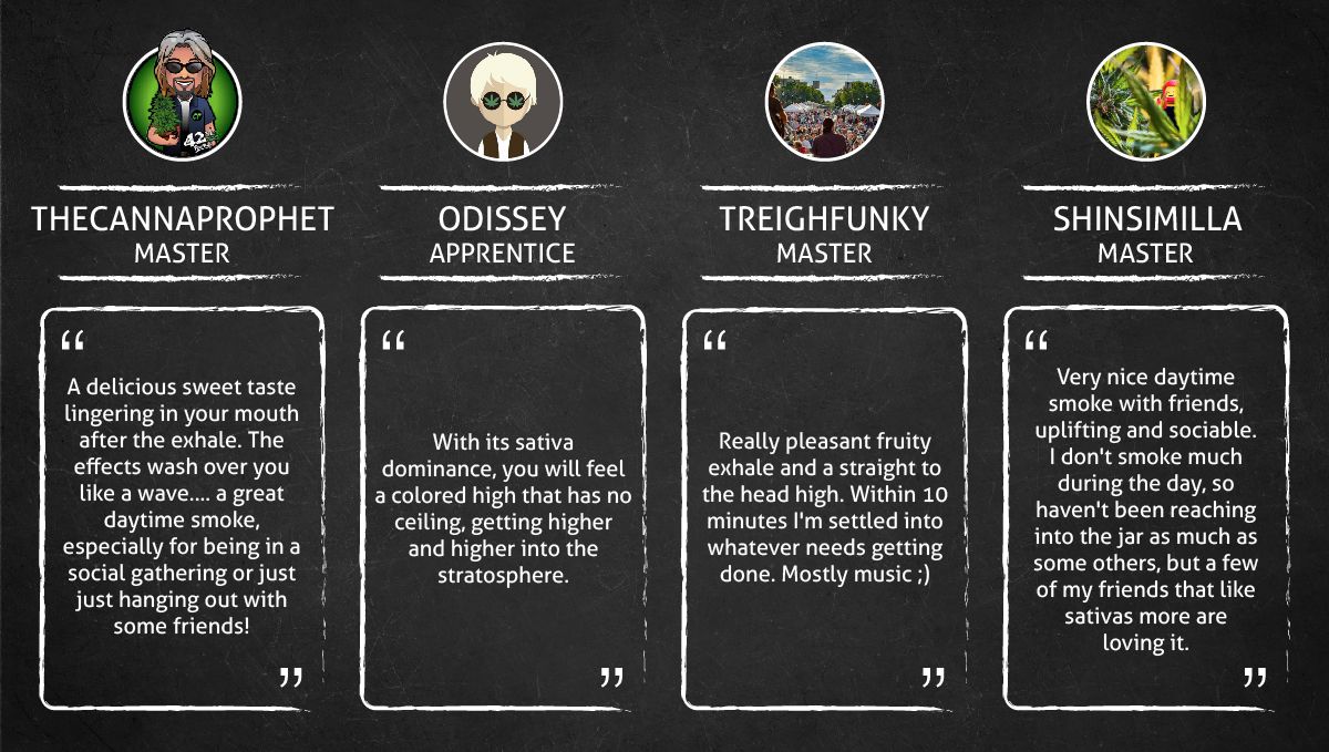 Californian Snow Auto cannabis strain: smoke report