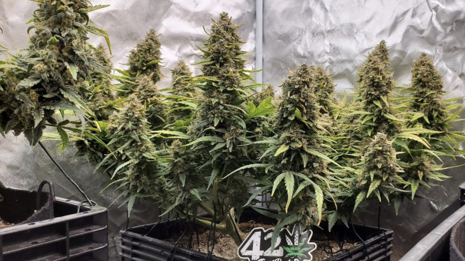 Screenshot 2021-11-05 at 18.21.57.png