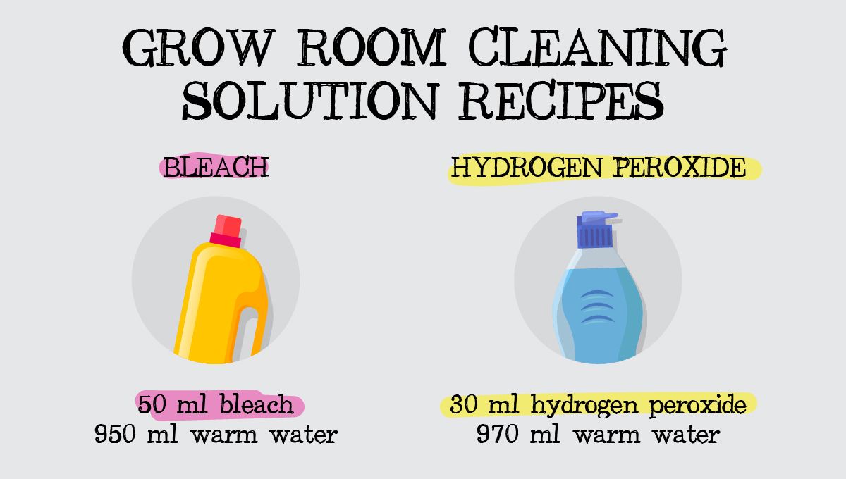 Top sanitation tips: homemade recipes