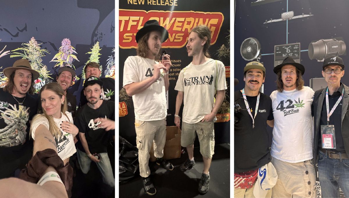 Mary Jane 2024: Die erste legale Cannabis-Expo in Europa