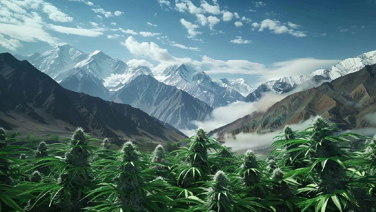 Das Hindukusch-Gebirge Das Hindukusch-Gebirge