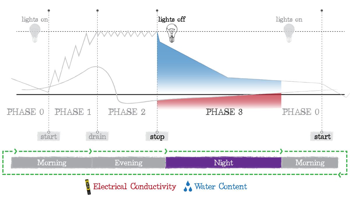 Crop steering cannabis: phase 3 Crop steering cannabis: phase 3