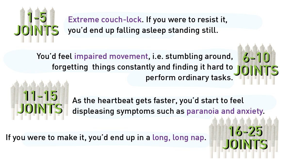 Can marijuana kill you?: what happens if you try to overdose on cannabis? Can marijuana kill you?: what happens if you try to overdose on cannabis?