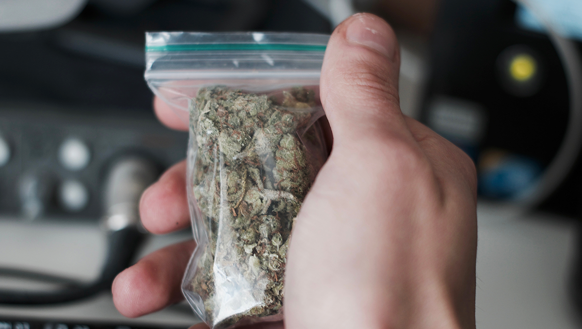 Weed in russia: cannabis laws in russia Weed in russia: cannabis laws in russia