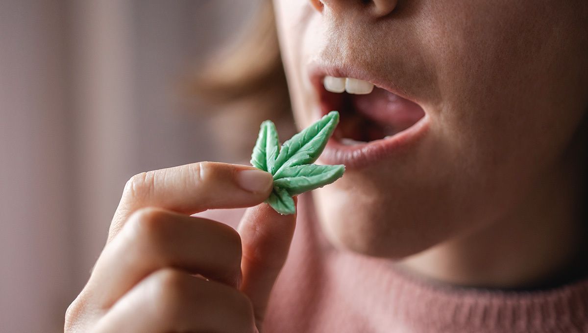How to make weed gummy bears: how many should you eat