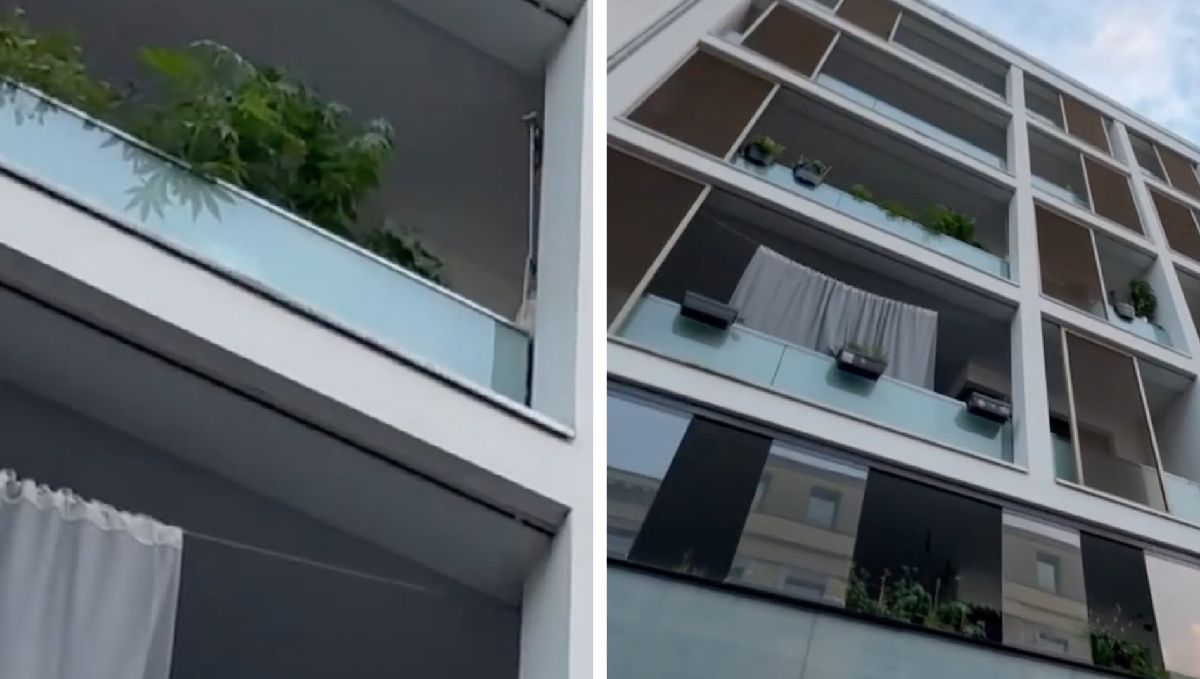 De vuelta a Alemania: HamCan 2024 expo en Hamburgo De vuelta a Alemania: HamCan 2024 expo en Hamburgo