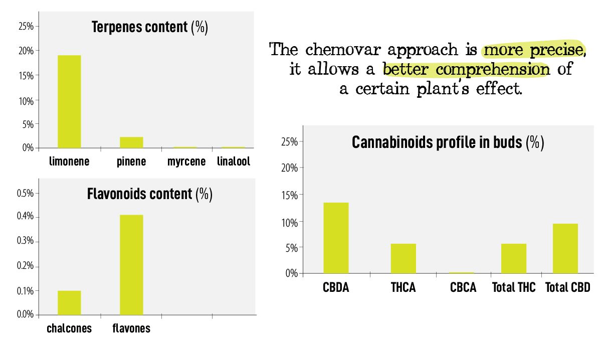 Cannabis chemtypes and chemovars: the chemovar approach