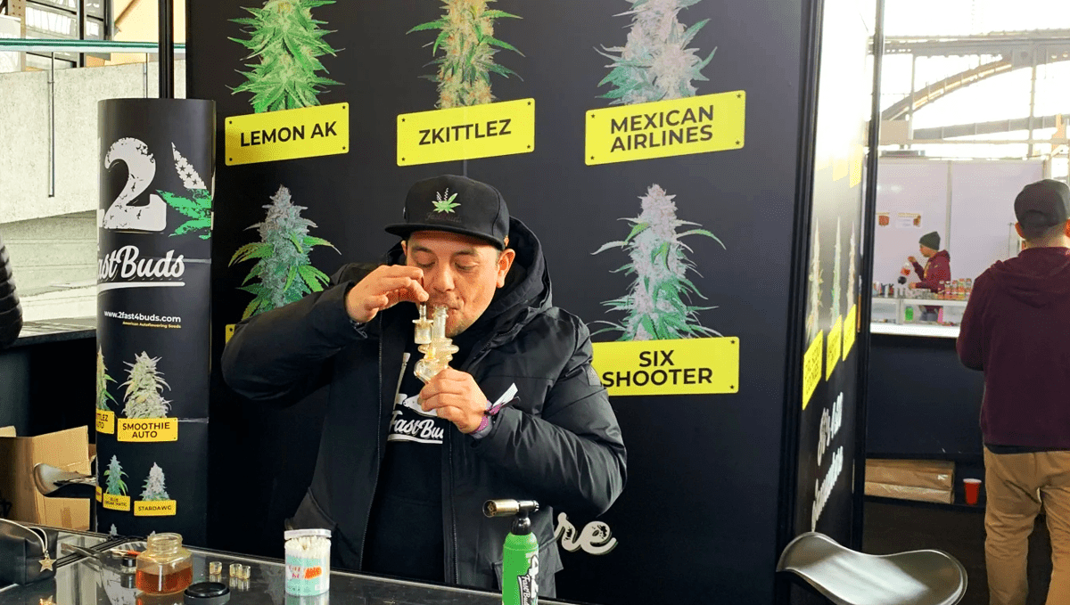 Gorilla Z gewinnt den 1. Platz beim Dabadoo Brasil 2022