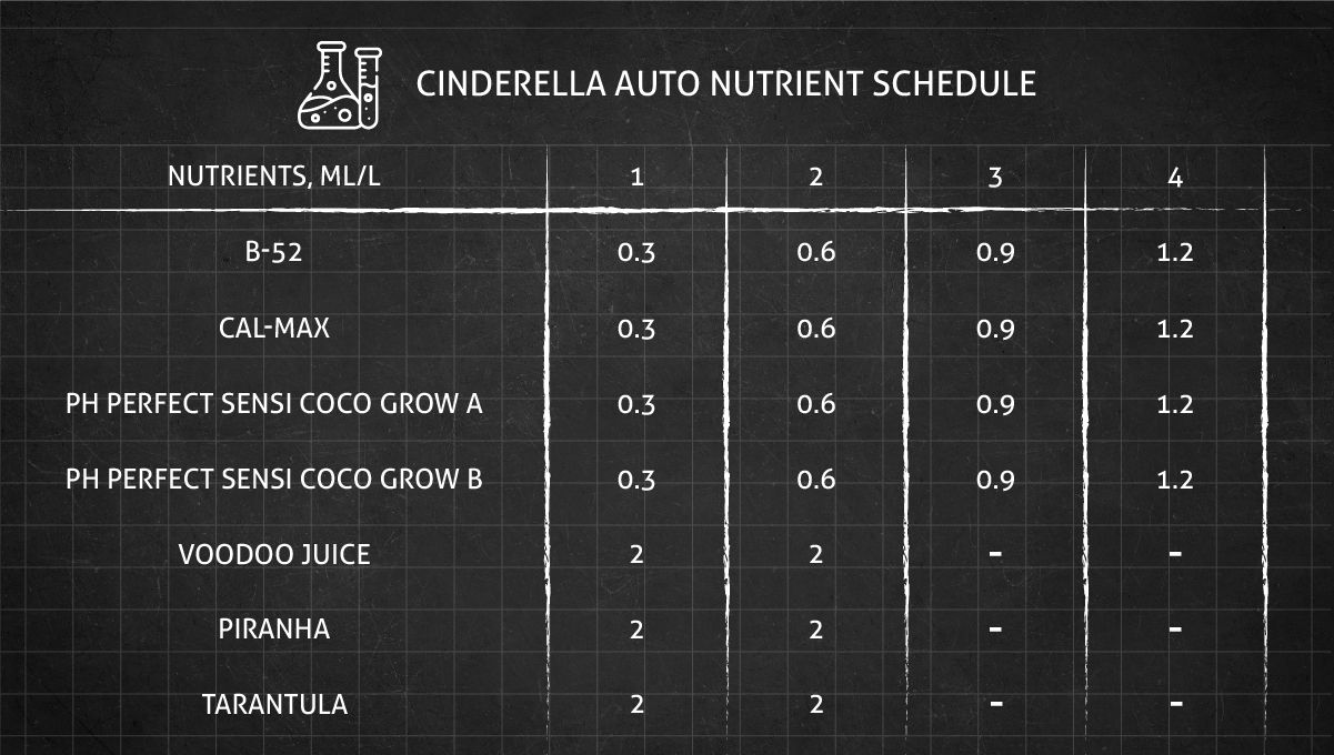 Cinderella Auto cannabis strain: feeding chart for the vegetative stage Cinderella Auto cannabis strain: feeding chart for the vegetative stage