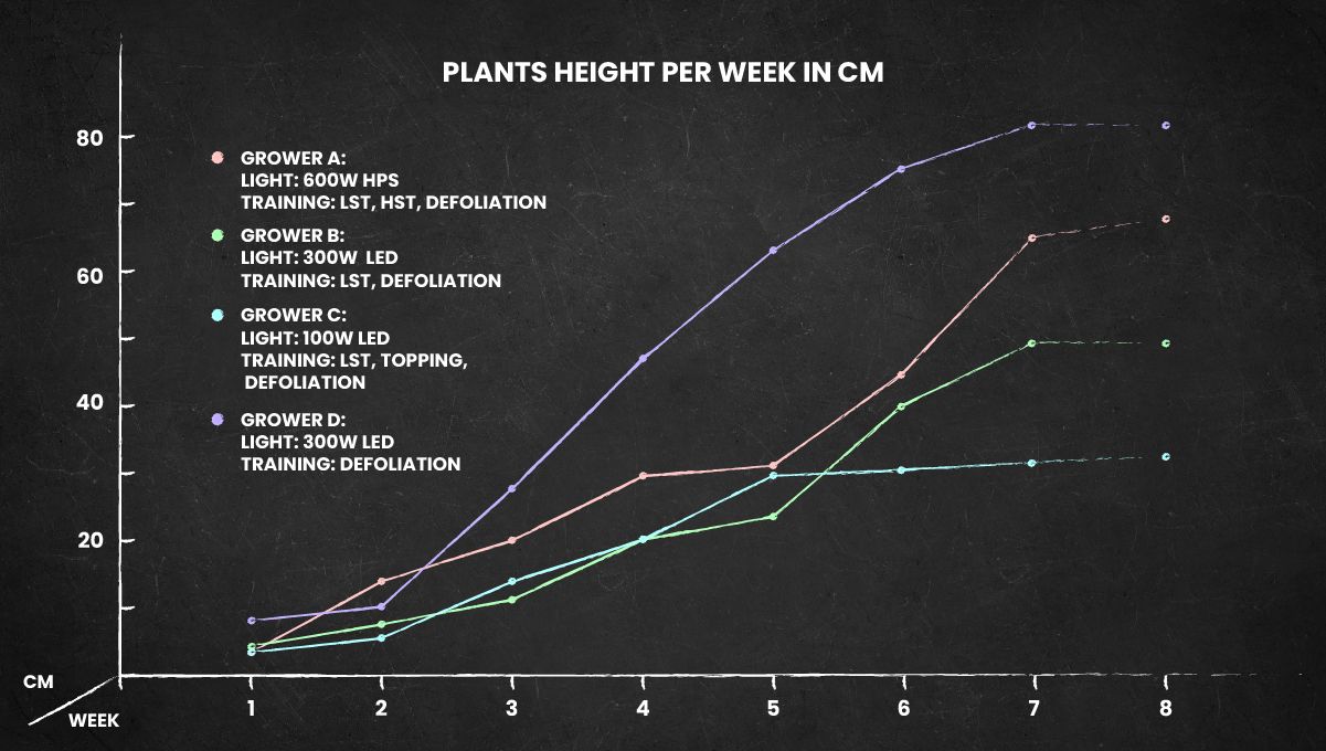 Strawberry Pie Auto Cannabis Strain Week-by-Week Guide: Week 11 grow conditions Strawberry Pie Auto Cannabis Strain Week-by-Week Guide: Week 11 grow conditions