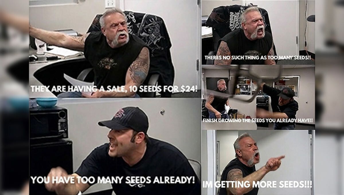 7 (2).jpg Meme