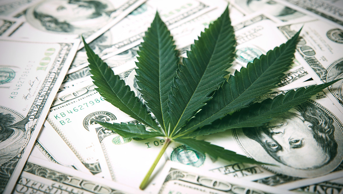 Fine Print Reveals Apple Has Long Thrown Its Weight Behind Cannabis Normalization: A weed leaf lying on top of one-hundred-dollar bills