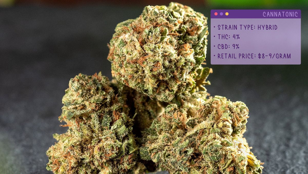 Best Weed Strains for Anxiety: Cannatonic