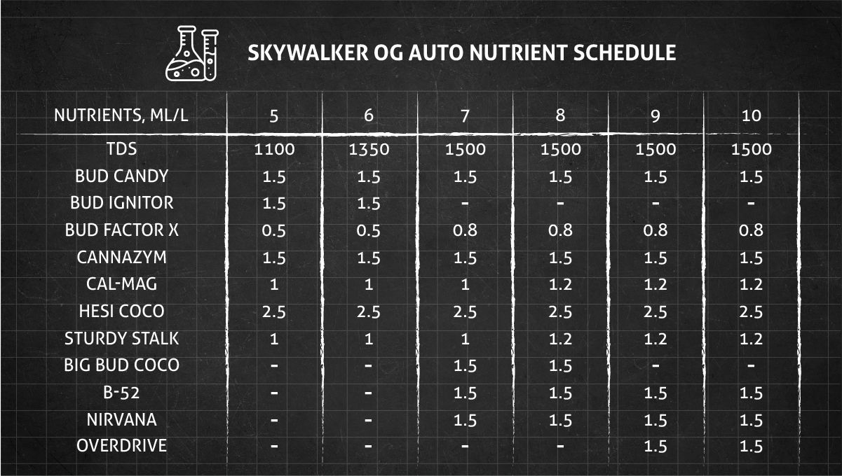 Skywalker OG Auto cannabis strain: feeding chart for the flowering stage Skywalker OG Auto cannabis strain: feeding chart for the flowering stage