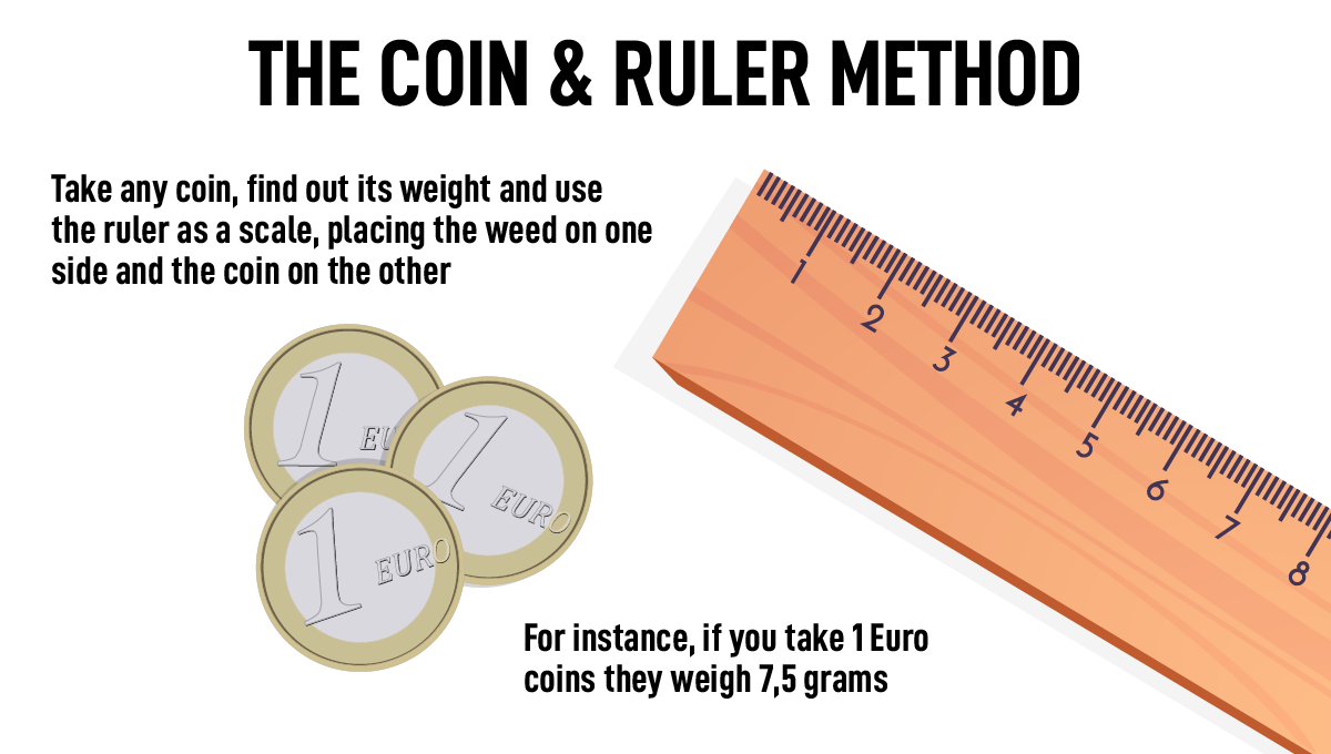 Weed measurements guide: the coin and ruler method
