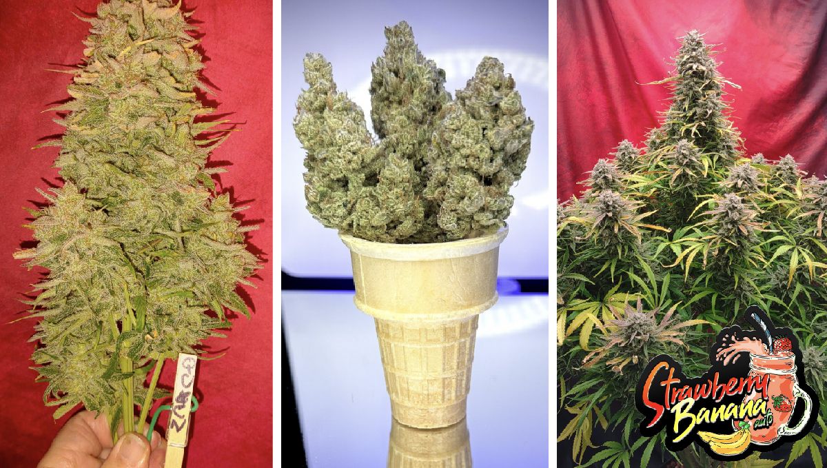 strawberry banana autp