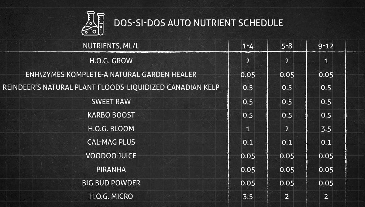 Dos-Si-Dos cannabis strain: feeding chart for the vegetative and flowering stages