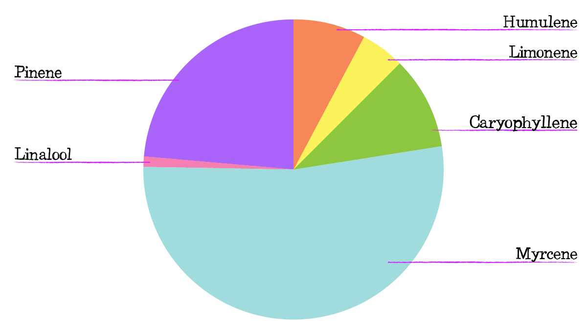 Russian Auto Cannabis Strain Week-by-Week Guide: Terpene profile