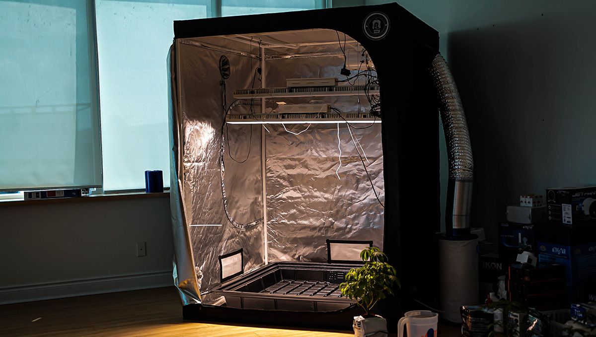 Best Feeding Schedule for Autos: Keine Sorge über Lichtlecks Best Feeding Schedule for Autos: Keine Sorge über Lichtlecks