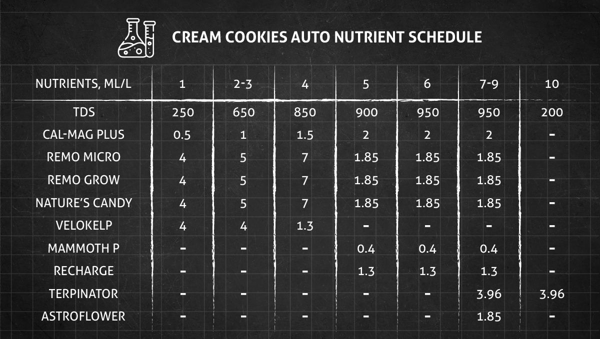 Cream Cookies Auto cannabis strain: veg and flower nutrient schedule