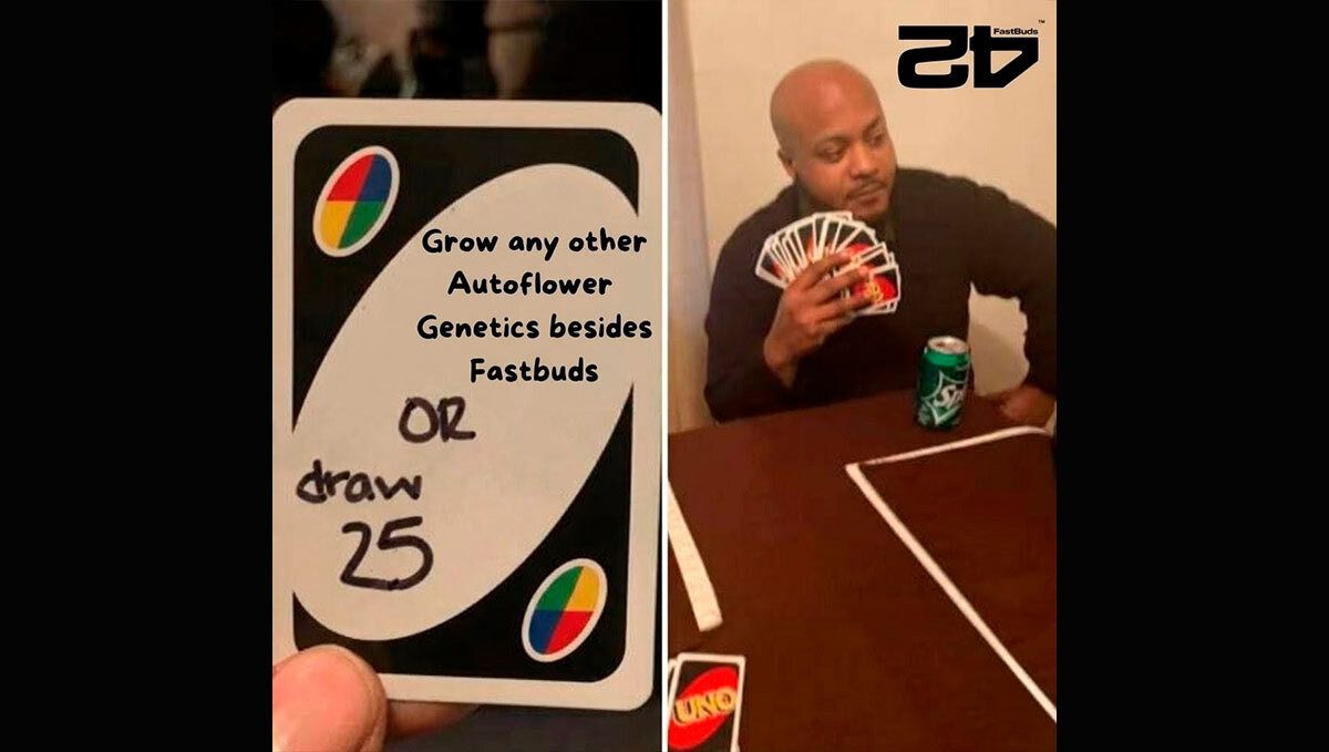 cover_139.jpg meme