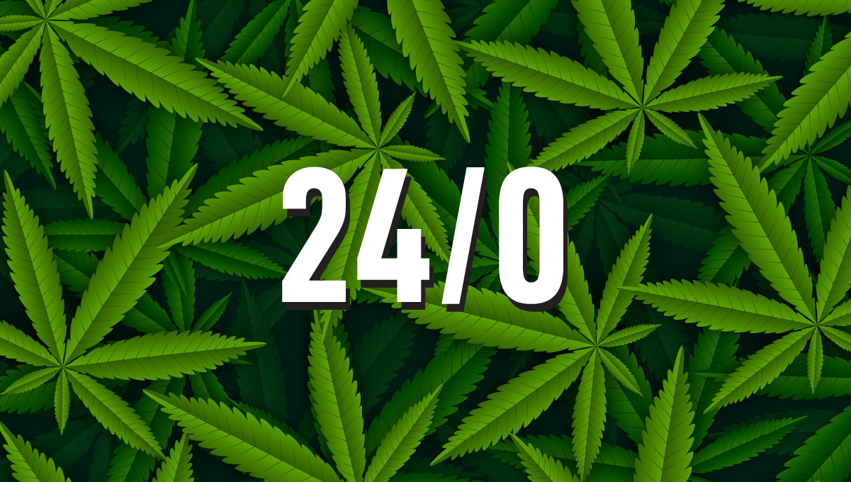 ciclul de lumină pentru planta de canabis 24/0