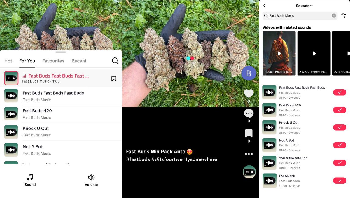 image (15).jpg Музикалните парчета на Fast Buds могат да се използват в сторита и постове в Instagram за градинарски ъпдейти.