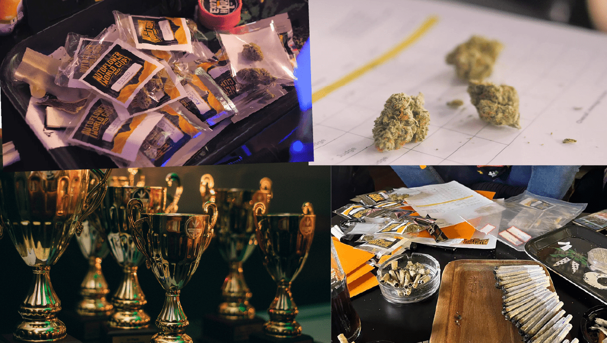 Gorilla Punch Auto takes 1st place at the AWC 2022