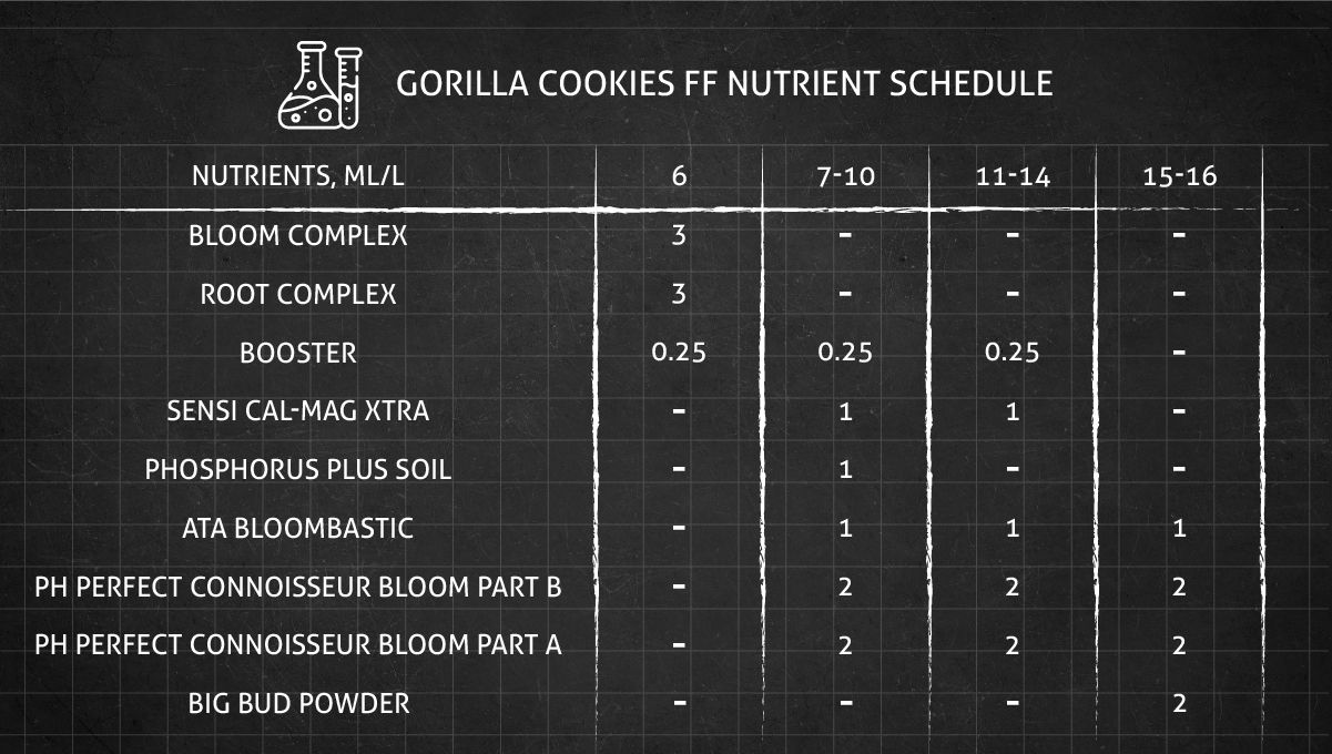 Gorilla Cookies FF cannabis strain: flower nutrient schedule Gorilla Cookies FF cannabis strain: flower nutrient schedule