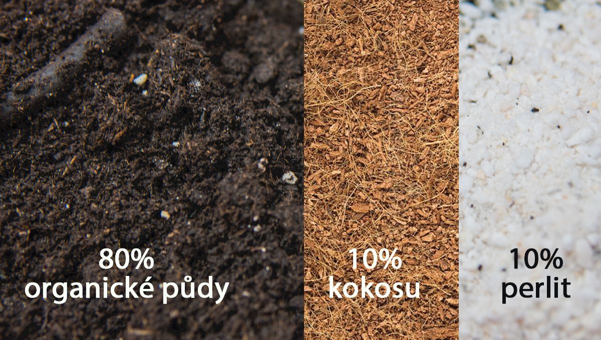 Nejlepší půdní směs pro začínající pěstitele Nejlepší půdní směs pro začínající pěstitele