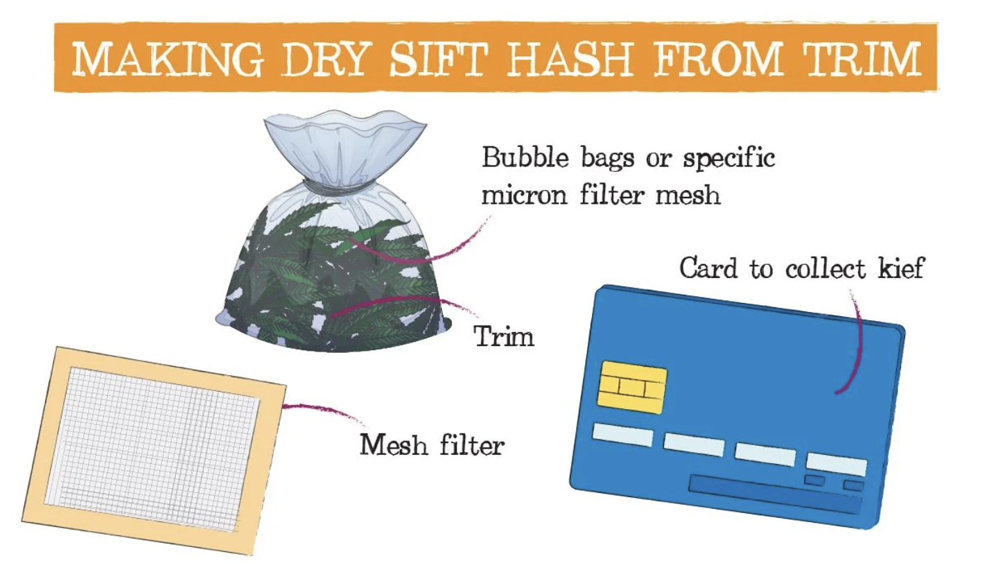 Screenshot 2021-07-08 at 10.39.00.png