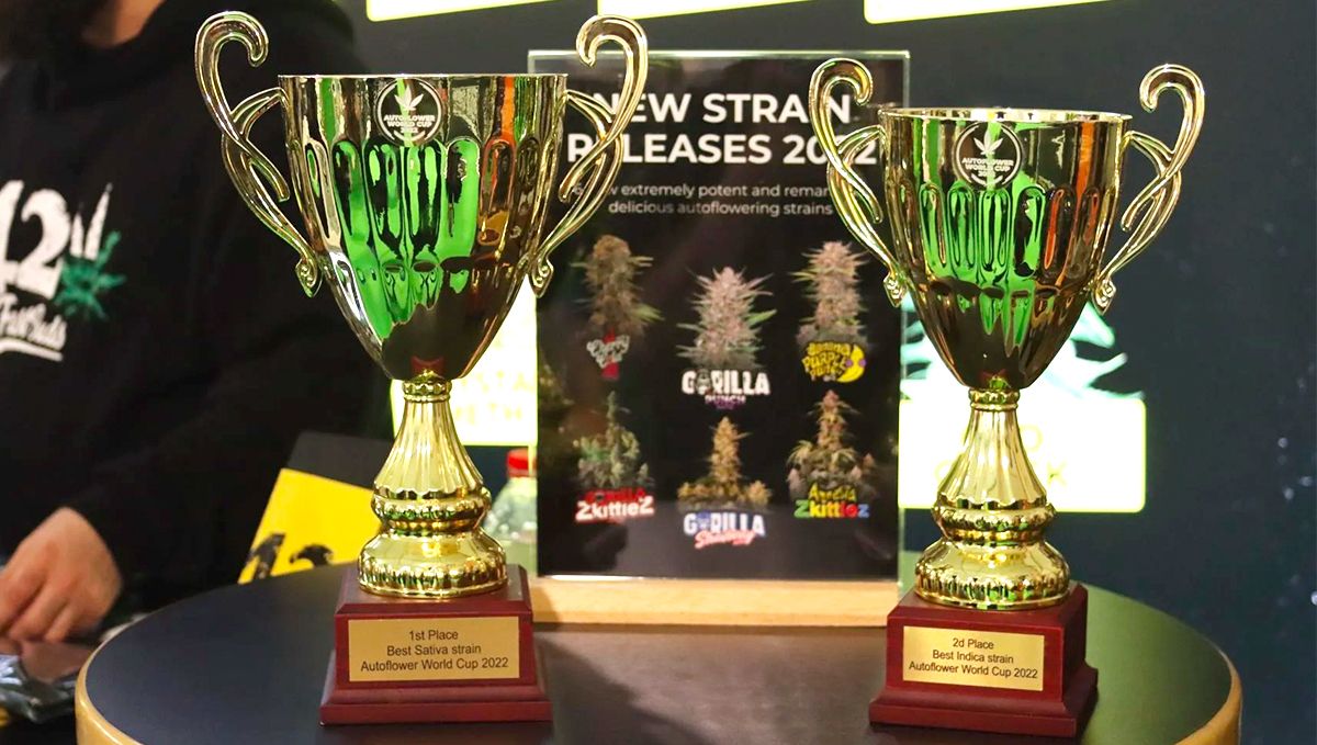 Autoflowers evolved into something much bigger than anybody could have expected. Autoflowers evolved into something much bigger than anybody could have expected.