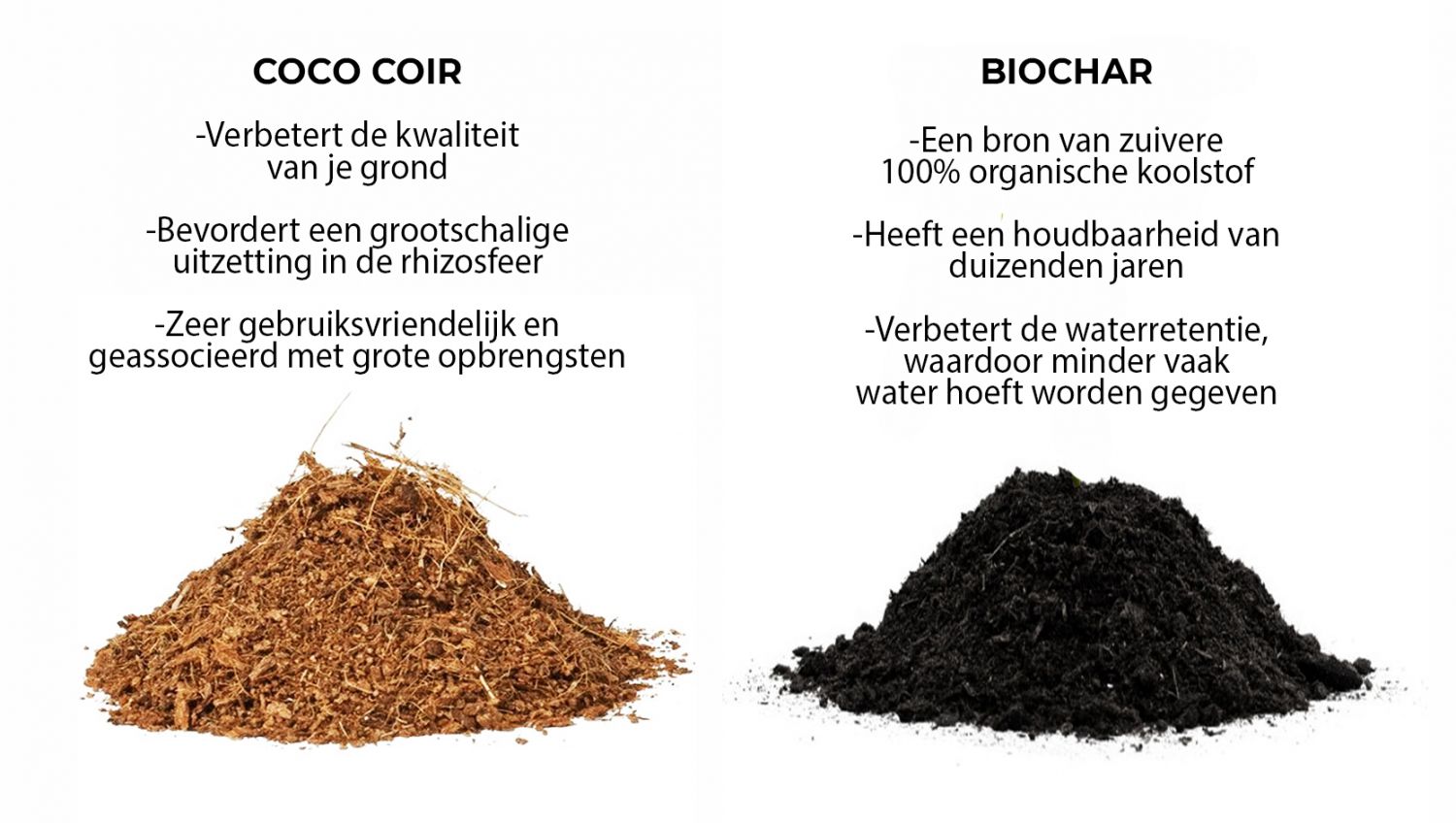 Welke grond is het beste voor zelfbloeiende cannabis?: Coco coir vs Biochar Welke grond is het beste voor zelfbloeiende cannabis?: Coco coir vs Biochar
