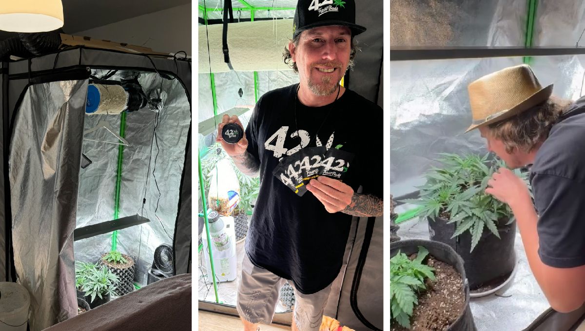 Grow Tour | Fast Buds visita el cultivo de Patrick en Hamburgo