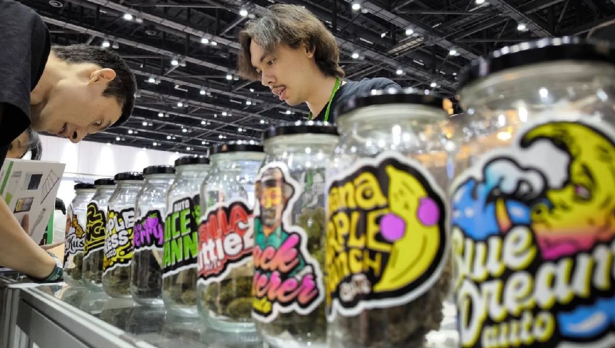 Asia International Hemp Expo: Ein einzigartiges Erlebnis