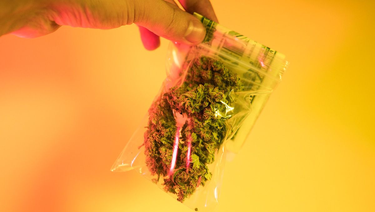 How many grams in an eighth of weed: how much weed is an eighth?
