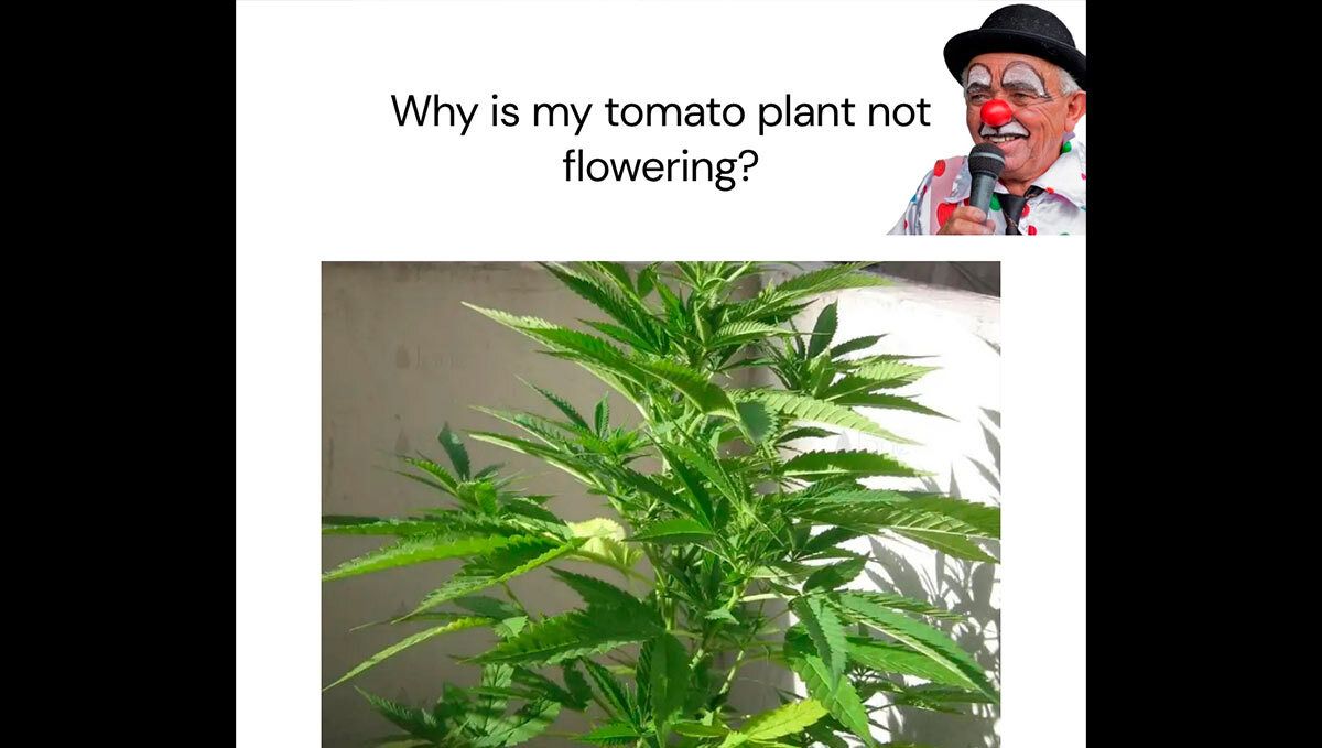 cover_135_2.jpg meme