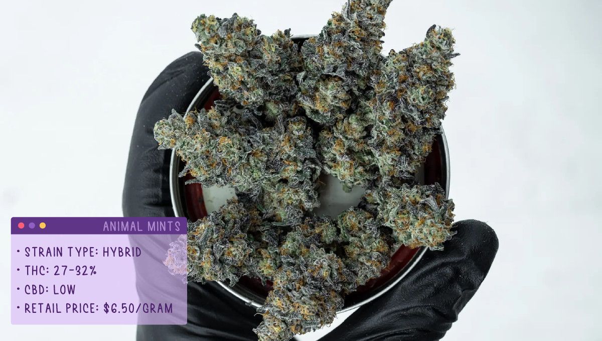 22 Best Weed Strains to Try in 2022: Animal Mints