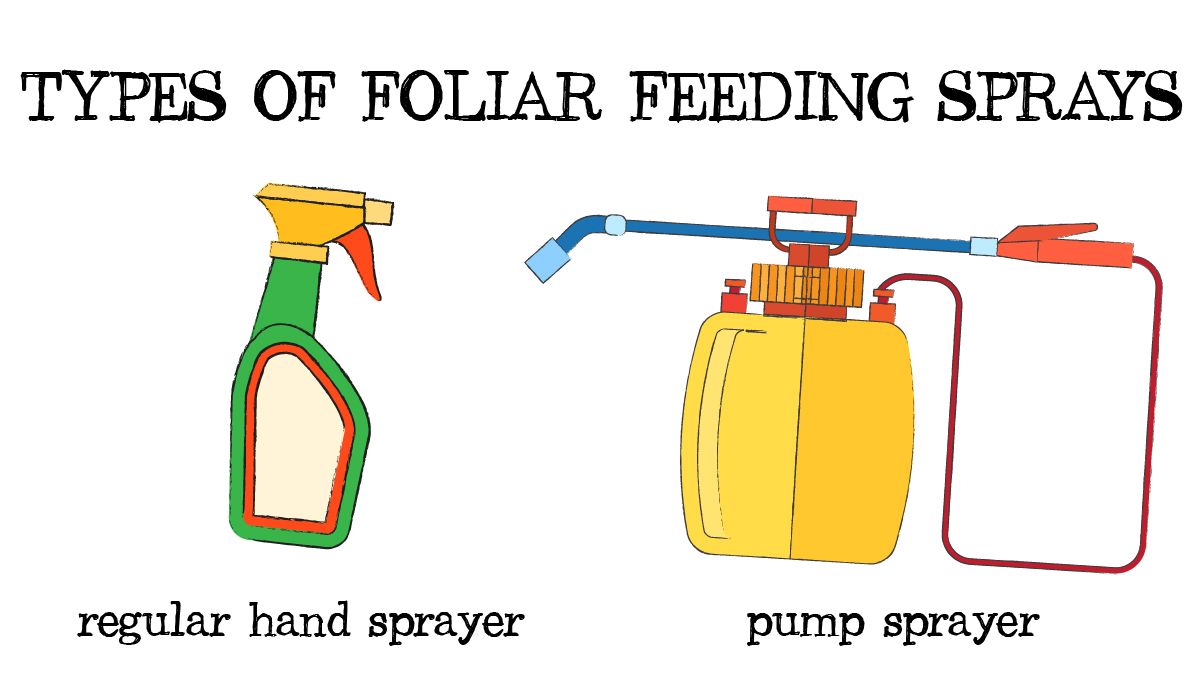 Foliar feeding guide: types of foliar sprayers Foliar feeding guide: types of foliar sprayers