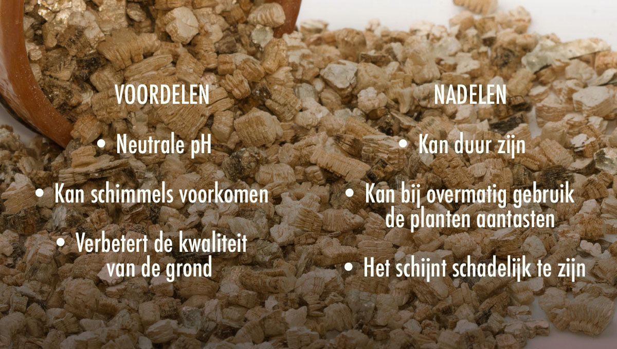 Welke grond is het beste voor zelfbloeiende cannabis?: Voor- en nadelen van het gebruik van vermiculiet in je grond Welke grond is het beste voor zelfbloeiende cannabis?: Voor- en nadelen van het gebruik van vermiculiet in je grond