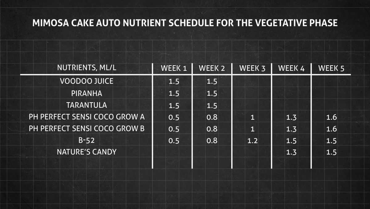 Mimosa Cake Auto cannabis strain: veg nutrient schedule Mimosa Cake Auto cannabis strain: veg nutrient schedule
