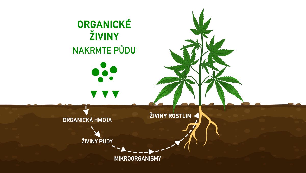 Jak vykrmit své pupeny: organické živiny Jak vykrmit své pupeny: organické živiny