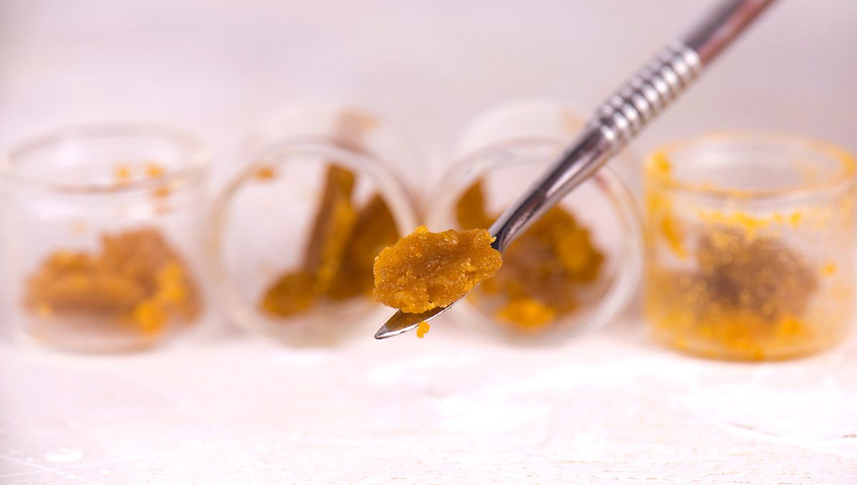 Can Cannabis Buds Be Used to Make Extracts: cannabis oil