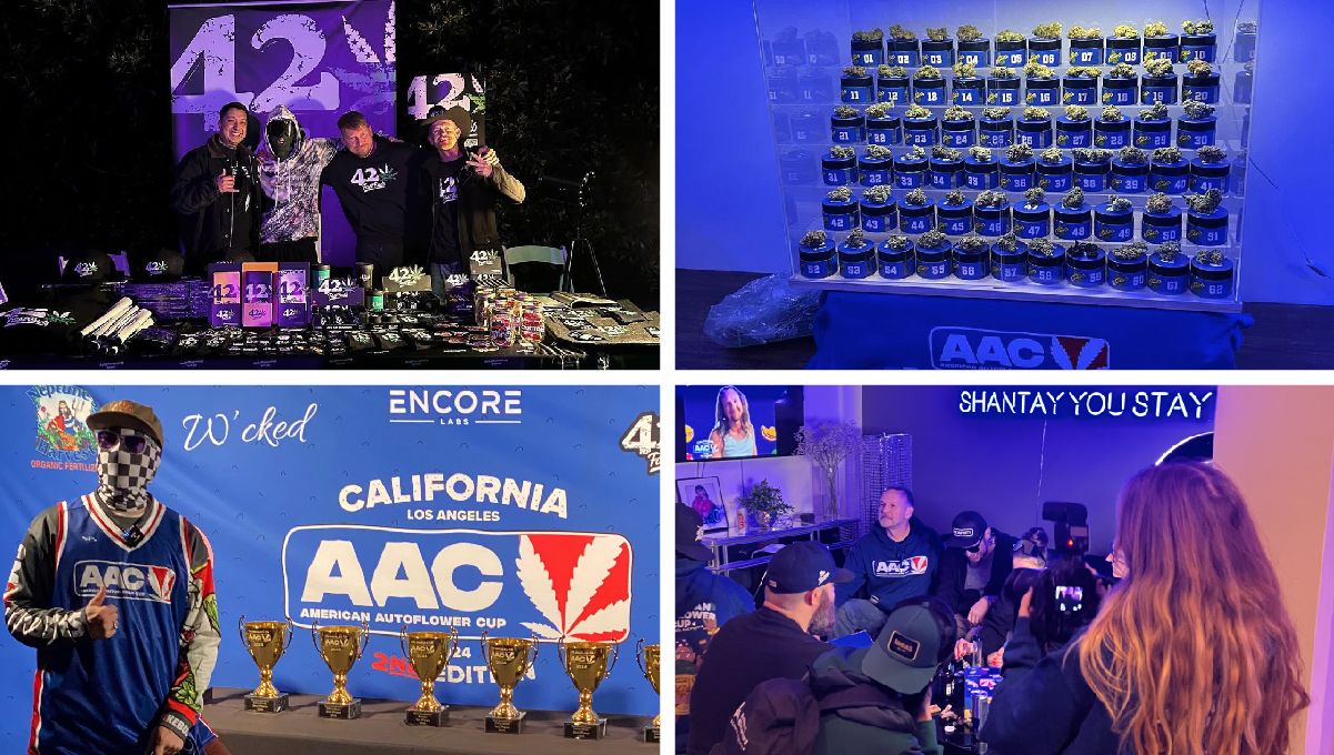 Ztrawberriez Auto und Banana Purple Punch Auto gewinnen den The American Autoflower Cup 2024!