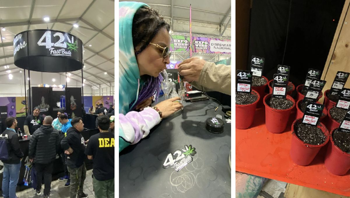 ExpoWeed Chile 2023 ExpoWeed Chile 2023